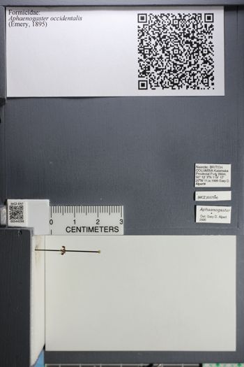 Media type: image;   Entomology 544298